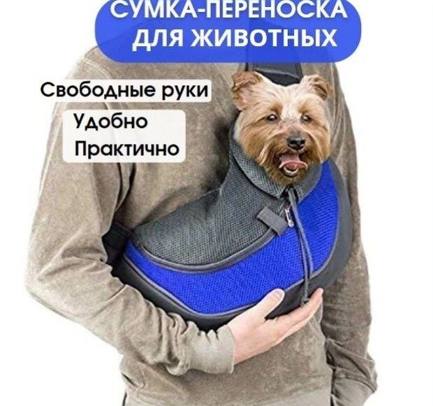 синий с чел