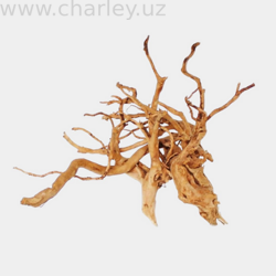 Паучий корень, декоративная коряга для аквариума